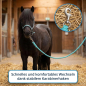 Preview: Anbindestrick mit Karabinerhaken in Satinoptik 2 Meter ARBO-INOX®