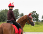 Preview: Ohrenhaube