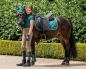Preview: Teal