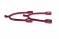Preview: Sporen Reitsporen Edelstahl runder Dorn ARBO-INOX®