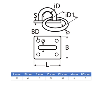 Augplatte mit Ring Edelstahl 50mm x 40mm ARBO-INOX