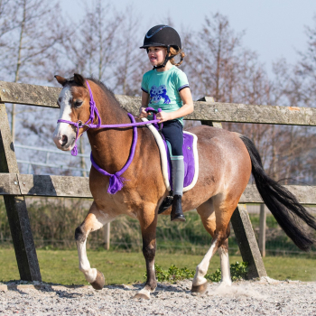 Halsring QHP Halsseil Pferdering Reitring vier Farben vier Größen ARBO-INOX®