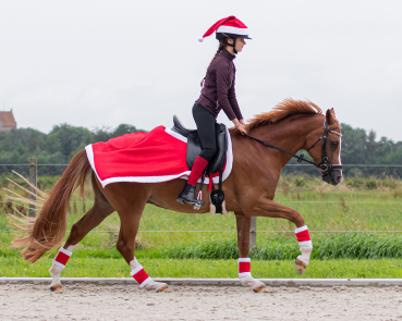 Weihnachtsmütze