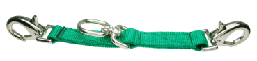 Longierbrille Nylon grün