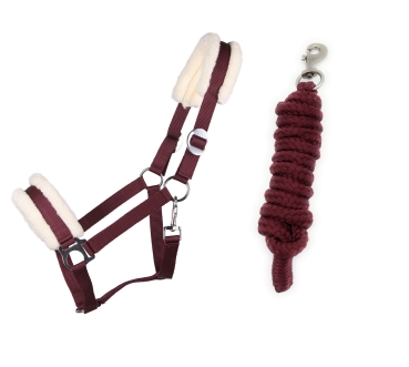 Halfter-Set Bordeaux