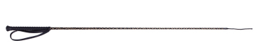 ARBO-INOX® Dressurgerte gold