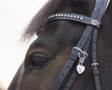 Trensen Glücksbringer Trensenschmuck