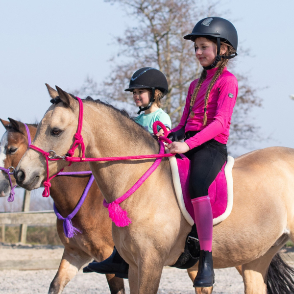 Halsring QHP Halsseil Pferdering Reitring vier Farben vier Größen ARBO-INOX®