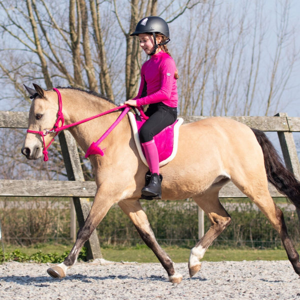 Halsring QHP Halsseil Pferdering Reitring vier Farben vier Größen ARBO-INOX®