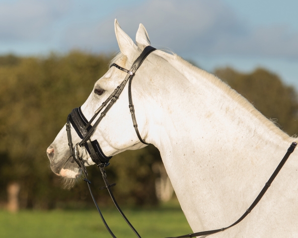 Nasenriemenunterlage Schwarz