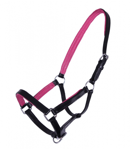 Fohlenhalfter Leder zweifarbig QHP ARBO-INOX®