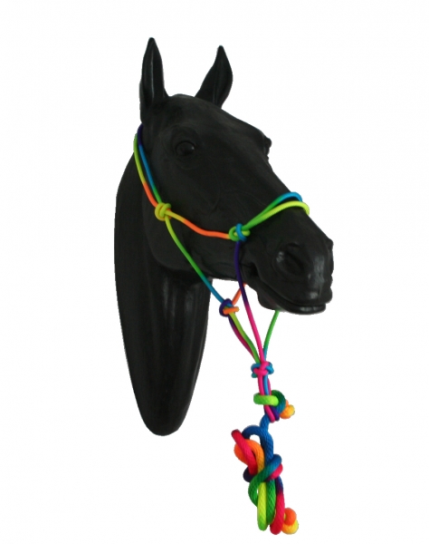 Knotenhalfter mit Führstrick Halfter Rainbow Pony