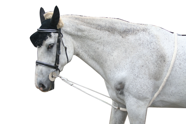 Longierhilfe Baumwolle Pony weiß 2m