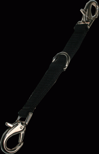 Longierbrille schwarz