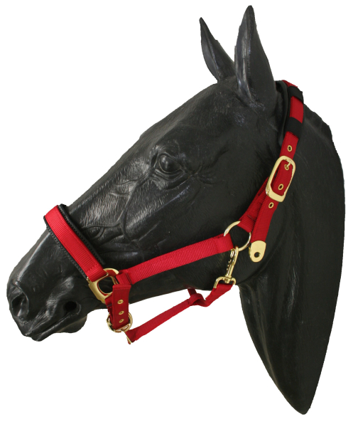 Halfter Nylonhalfter Stallhalfter Pony rot