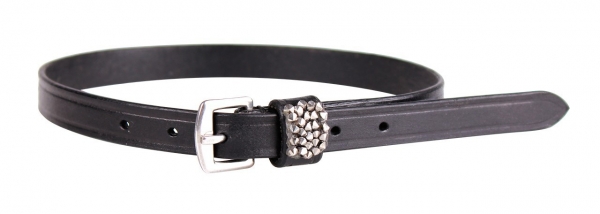 ARBO-INOX® Sporenriemen schwarz