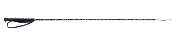 ARBO-INOX® Dressurgerte gold