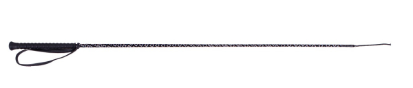 ARBO-INOX® Dressurgerte silber